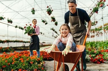 large greenhouse 20 foot wide for nursery or vegetable farming large greenhouse 20 foot wide for nursery or vegetable farming