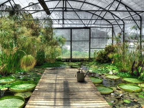 What Types Of Greenhouses Are There?